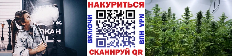 Наркошоп купить Кокаин  Бошки Шишки  СК  ГАШ  Псилоцибиновые грибы  Меф  Выкса