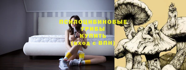 прущая мука Заволжск
