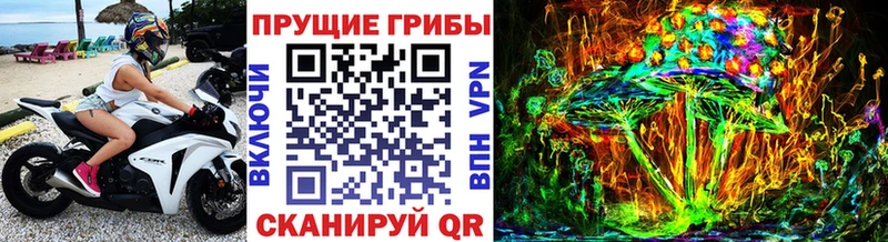 Галлюциногенные грибы прущие грибы  Купить  Выкса 