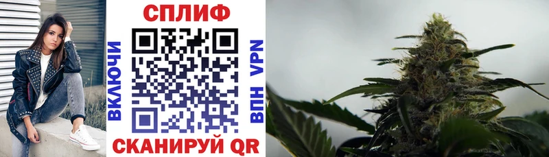 Купить закладки  Выкса  Марихуана тримм 